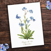 Elegant Vintage Botanical Forget Me Not Flower