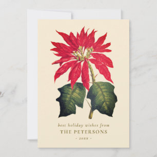 Elegant Vintage Botanical Poinsettia Flower Holiday Card