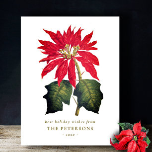 Elegant Vintage Botanical Poinsettia Flower Postcard