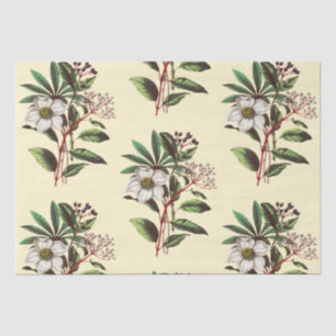 Elegant Vintage Christmas Roses Beige Tissue Paper