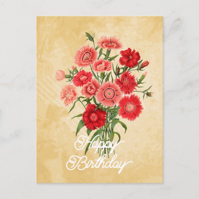 Elegant Vintage Dianthus Chinensis Flower Birthday Postcard (Front)