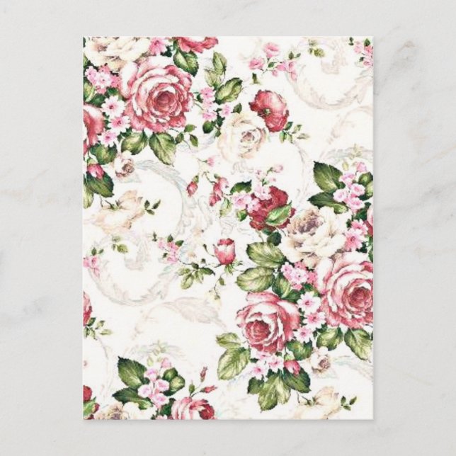 Elegant Vintage Floral Cottage Cream Rose Postcard (Front)