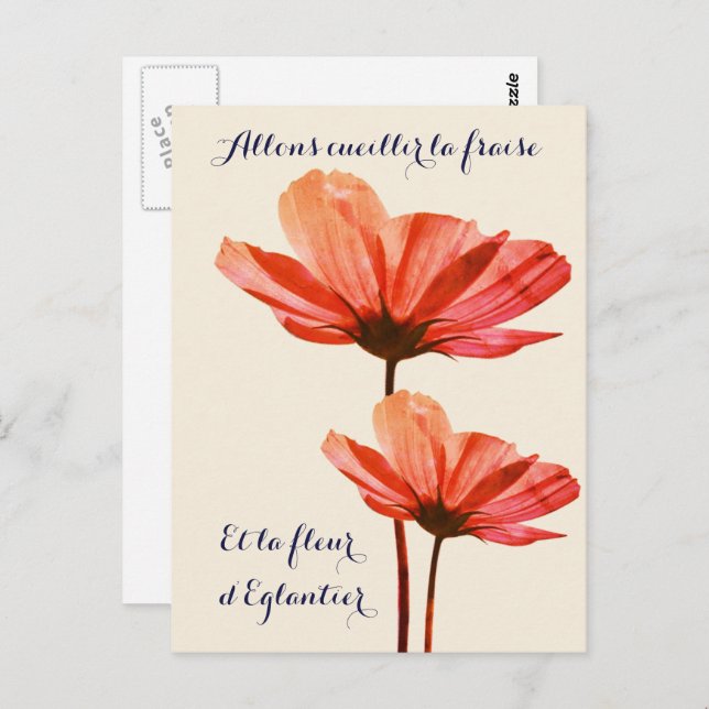   Elegant Vintage Flower With Spring French Quote  Postcard (Front/Back)