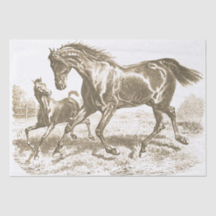 Elegant Vintage Horse Mare Foal Love Tissue Paper