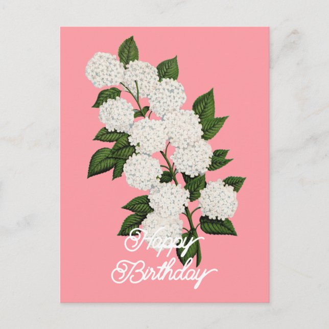 Elegant Vintage Japanese Snowball Happy Birthday Postcard (Front)