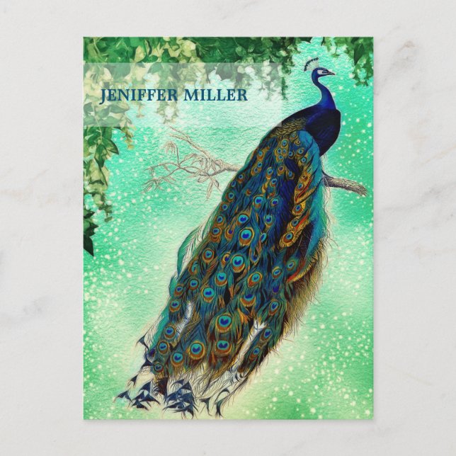 Elegant vintage peacock artwork                    postcard (Front)