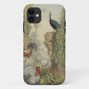 Elegant Vintage Peacock & Other Birds iPhone 11 Case