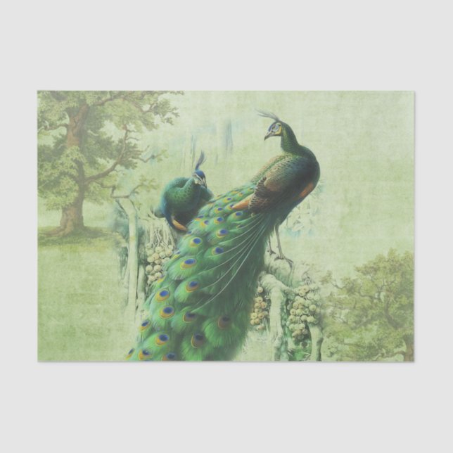 Elegant Vintage Peacock Tissue Paper (Front)