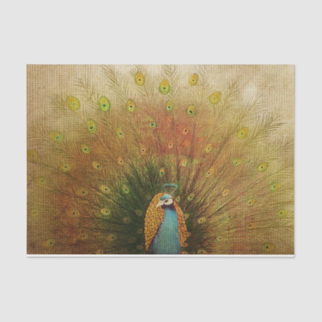 Elegant Vintage Peacock Tissue Paper (Front)