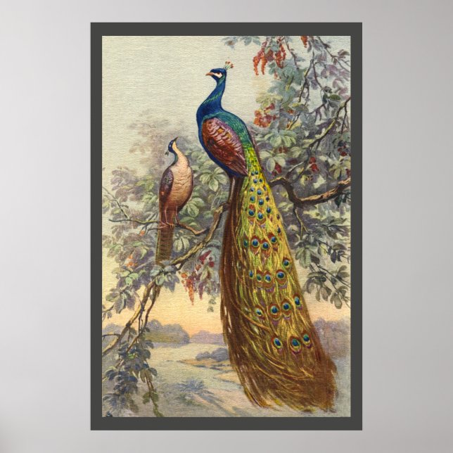 Elegant vintage peacock tree poster (Front)