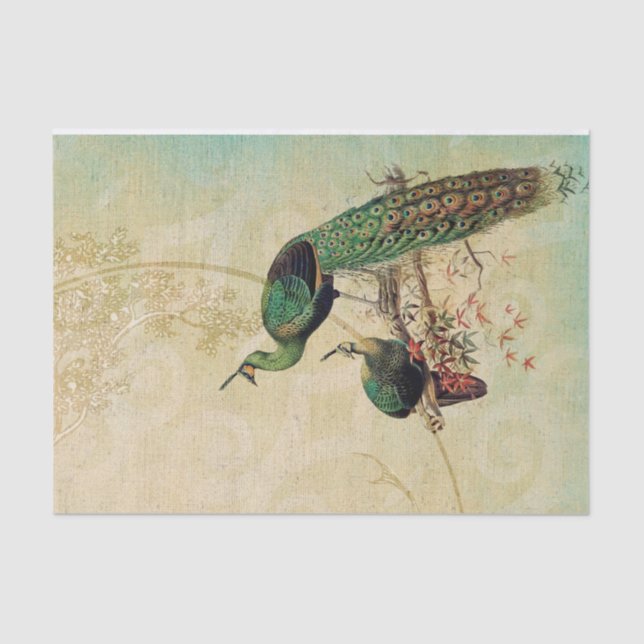 Elegant Vintage Peacocks Tissue Paper (Front)