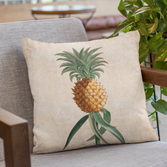 Elegant Vintage Pineapple Tropical Cushion (Creator Uploaded)