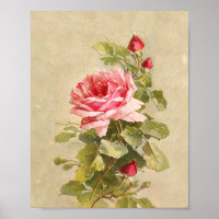 Elegant Vintage Pink Roses