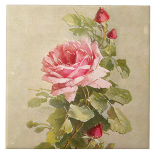Elegant Vintage Pink Roses Tile