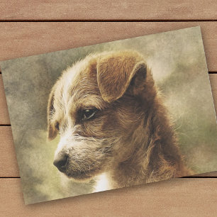 Elegant vintage puppy photo tissue paper