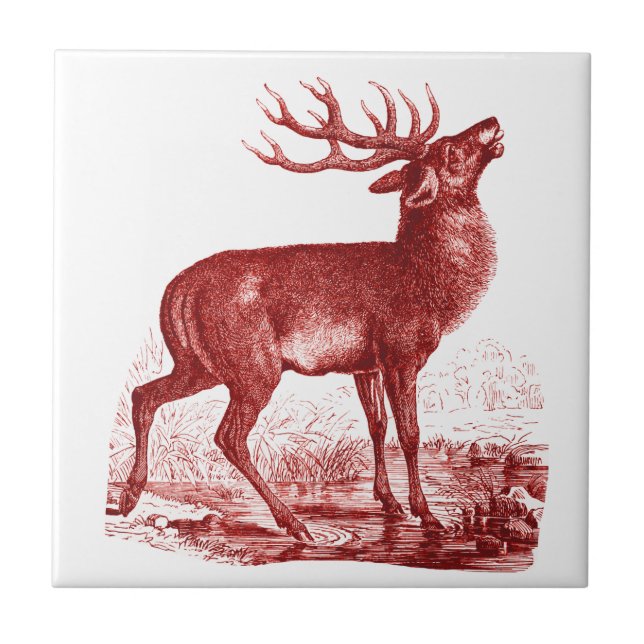 Elegant Vintage Red White Deer Tile (Front)