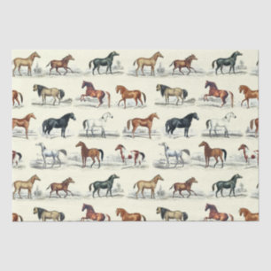 Elegant Vintage Rustic Horse Breeds Toile Tissue Paper