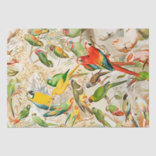 Elegant Vintage Tropical Birds Parrots Decoupage Tissue Paper