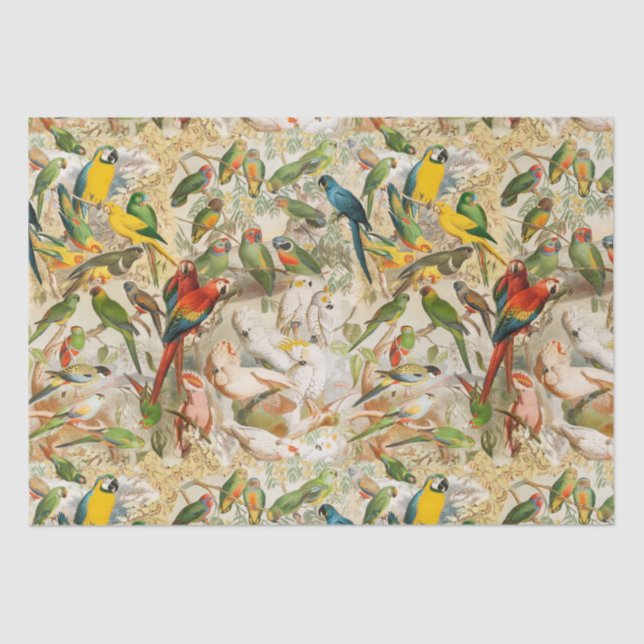 Elegant Vintage Tropical Birds Parrots Decoupage Tissue Paper (Front)