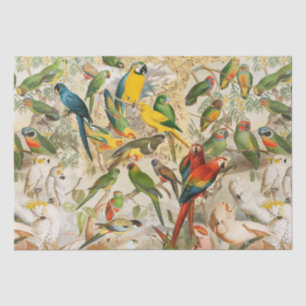 Elegant Vintage Tropical Birds Parrots Rainforest Tissue Paper