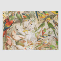 Elegant Vintage Tropical Birds Parrots