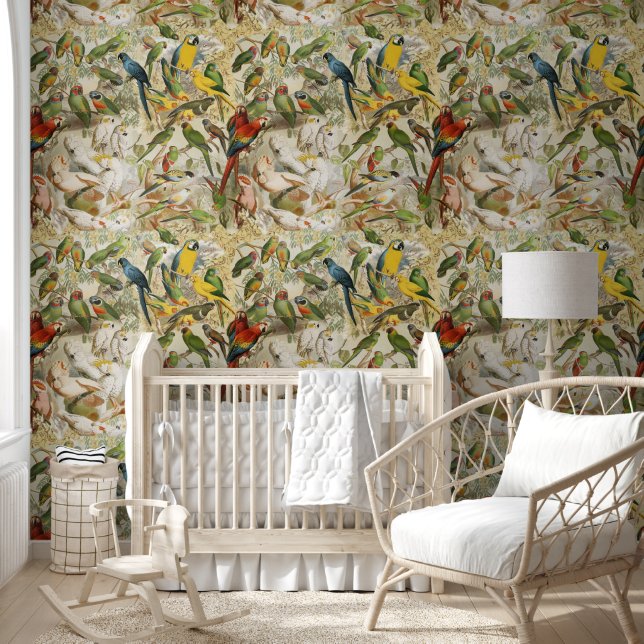 Elegant Vintage Tropical Birds Parrots Wallpaper (Kids)