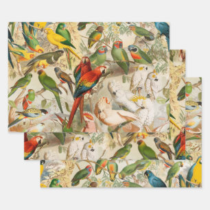 Elegant Vintage Tropical Birds Parrots Wrapping Paper Sheet