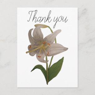 Elegant Vintage White Lily Flower Thank You Postcard