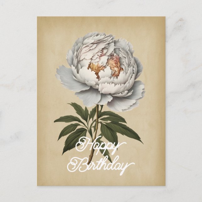 Elegant Vintage White Peony Flower Happy Birthday Postcard (Front)