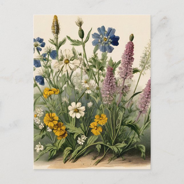 Elegant Vintage Wildflowers  Postcard (Front)
