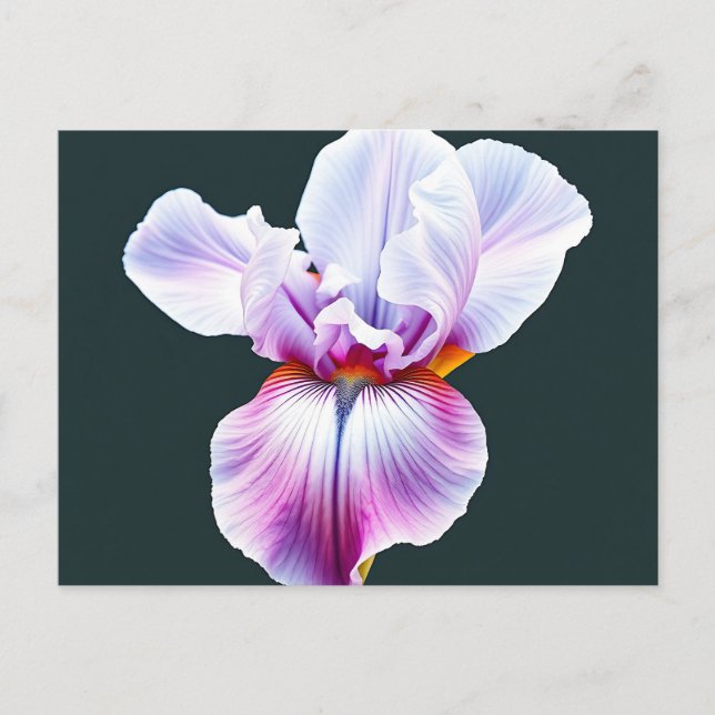 Elegant Watercolor Iris Bloom with Delicate Petals Postcard (Front)