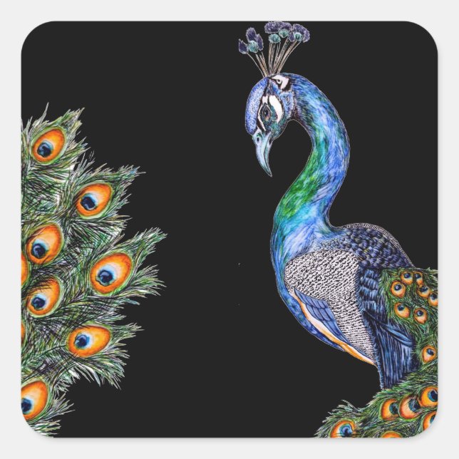 Elegant Watercolor Peacock Square Sticker (Front)