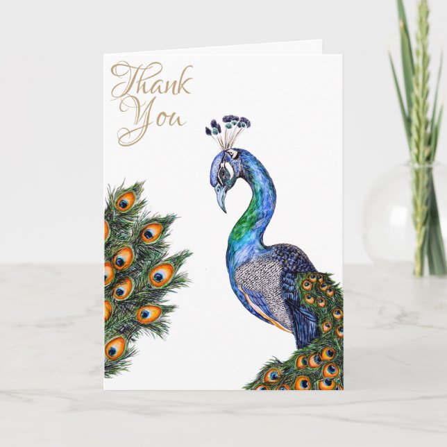 Elegant Watercolor Peacock Thank You Card (Front)