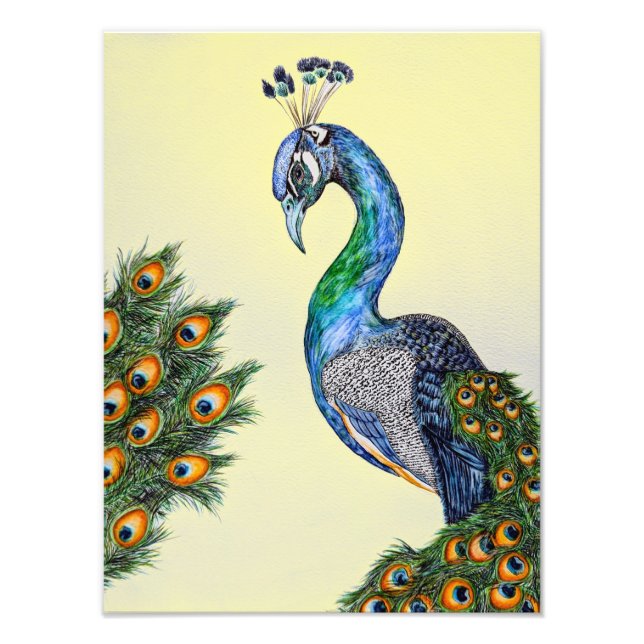 Elegant Watercolor Peacock Yellow Photo Print (Front)