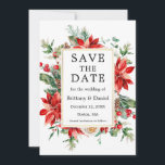 Elegant Watercolor Poinsettia Floral Greenery Save The Date<br><div class="desc">Elegant Watercolor Poinsettia Floral Greenery Save The Date Wedding Announcement Card includes red poinsettias,  eucalyptus leaves,  pine cones,  pine needles,  cotton,  holly berries and other beautiful winter botanical greenery. Gold Frame.</div>