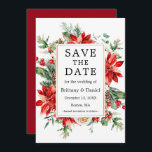 Elegant Watercolor Red Poinsettia Floral Greenery Save The Date<br><div class="desc">Elegant Watercolor Poinsettia Floral Greenery Save The Date Wedding Announcement Card includes red poinsettias,  eucalyptus leaves,  pine cones,  pine needles,  cotton,  holly berries and other beautiful winter botanical greenery. Gold Frame. Red Back.</div>