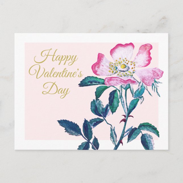 Elegant Watercolor Wild Rose Flower Valentine Postcard (Front)