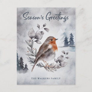 Elegant Watercolor Winter American Robin Postcard