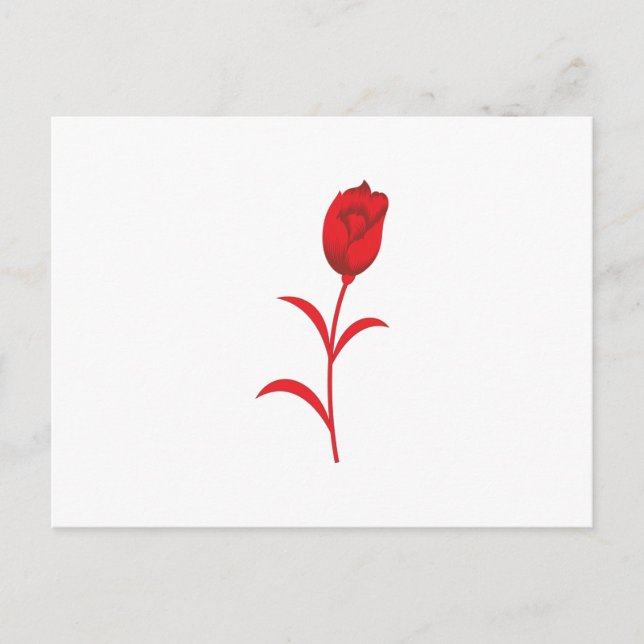 Elegant Wedding Essentials | Summer & Year-Round Postcard (Front)