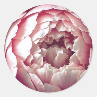 Elegant Wedding invitation Seal rose