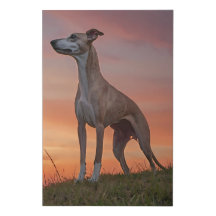 Elegant Whippet Sunset Hill Canvas Wall Art