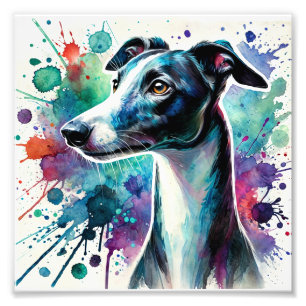 Elegant Whippet Watercolor Art Photo Print