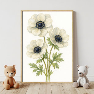 Elegant White Anemone Floral Botanical Watercolor Poster