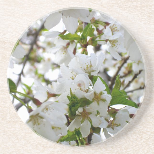 Elegant White Blossom white florals white flowers Coaster (Front)