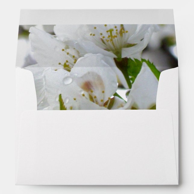 Elegant White Blossom white flowering tree Envelope (Back (Bottom))