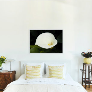 Elegant White Calla Lily Bloom Floral Poster