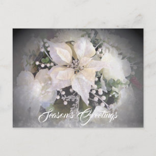 Elegant White Christmas Poinsettia Postcard