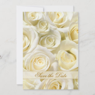 Elegant white-cream roses Save the Date Invitation