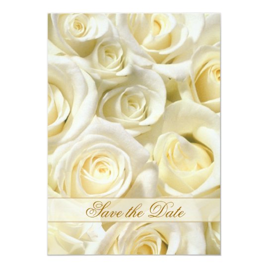 Elegant white-cream roses Save the Date Invitation