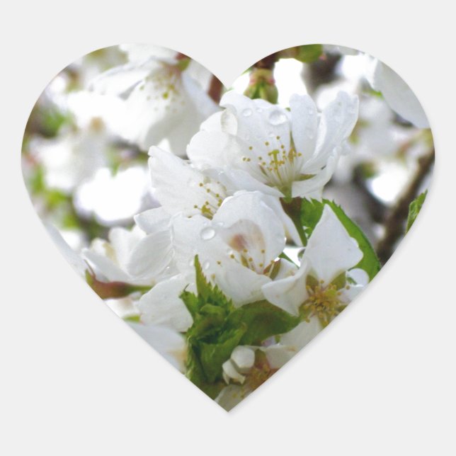 Elegant white floral blossom photo heart sticker (Front)